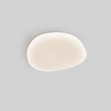 Flush Mount loftslampe