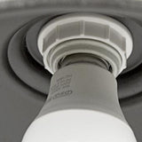 Alessio Rustik skålformet antik messing IP65 vandtæt udendørs væglampe