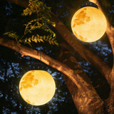 Elif Moderne LED udendørslampe Pendellampe Guld Metal Resin Hall Udendørs