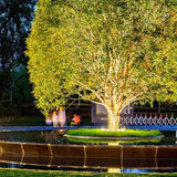 Udendørs spotlight til træ