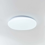Flush Mount loftslampe