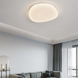 Flush Mount loftslampe