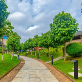 Lavie solcelle-havelampe